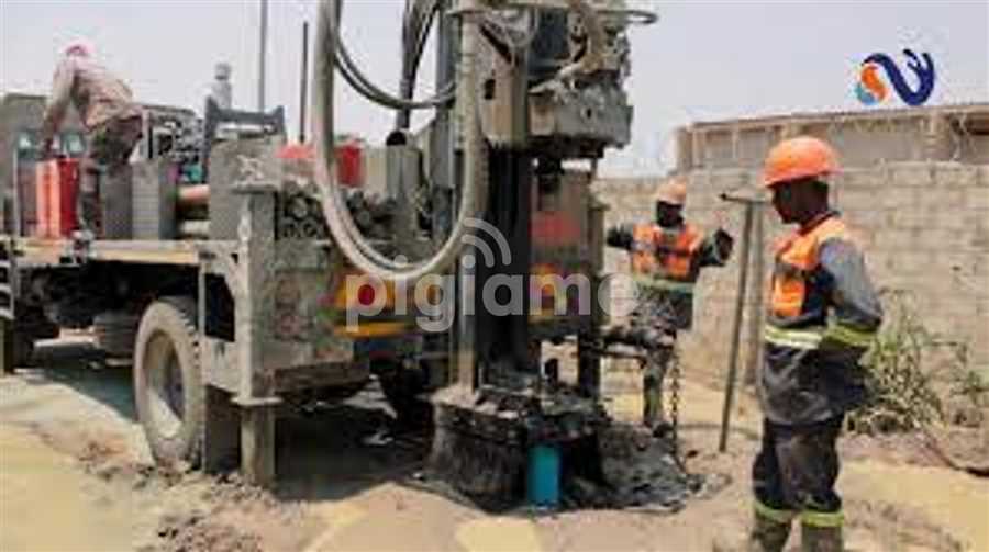 Experience and Expertise: