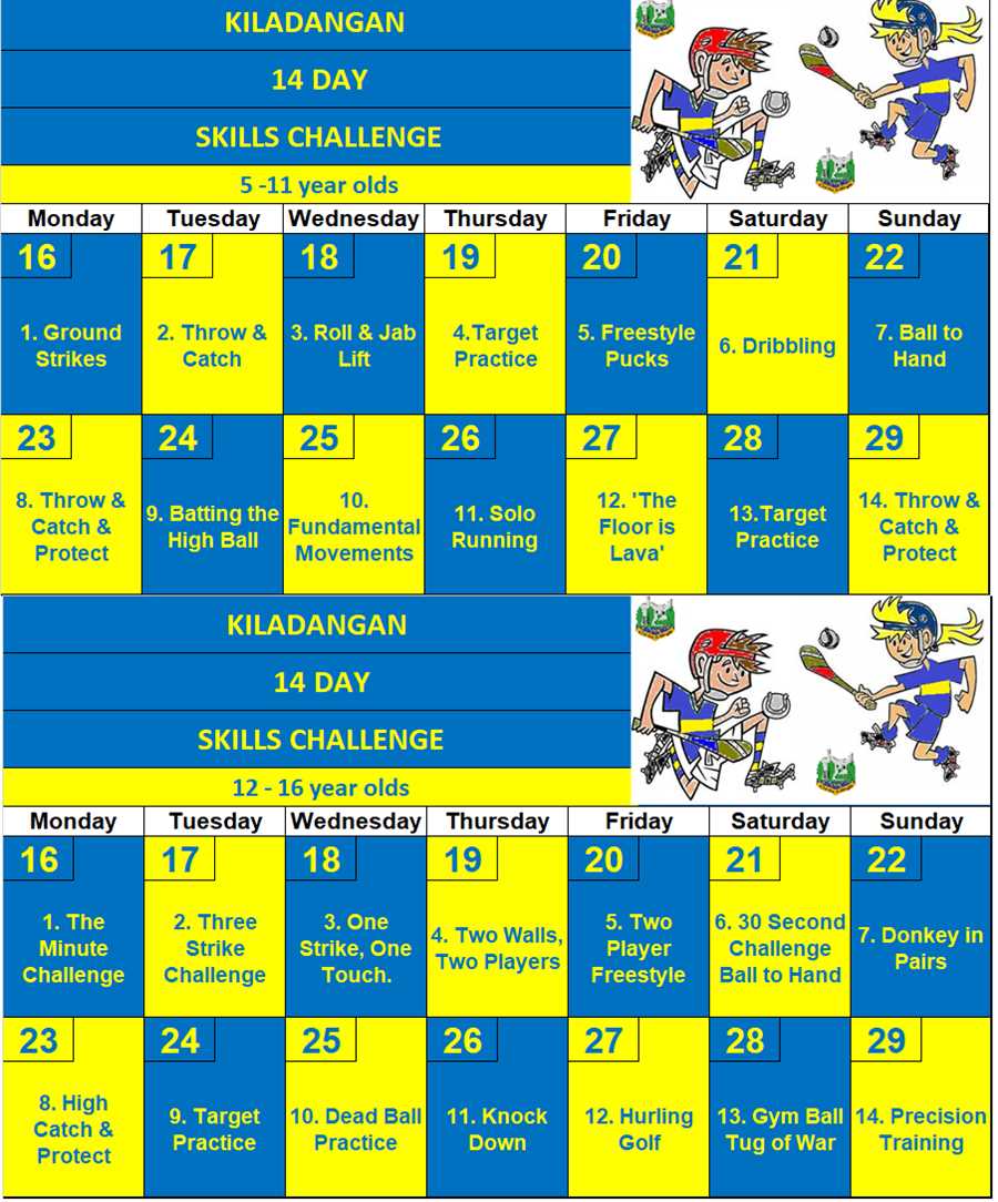 Best camogie drills 1. Soloing in a straight line