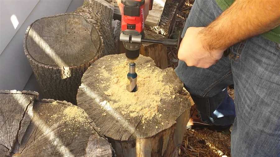 Best drill bit for tree trunk Understanding the importance of choosing the right drill bit for tree trunks