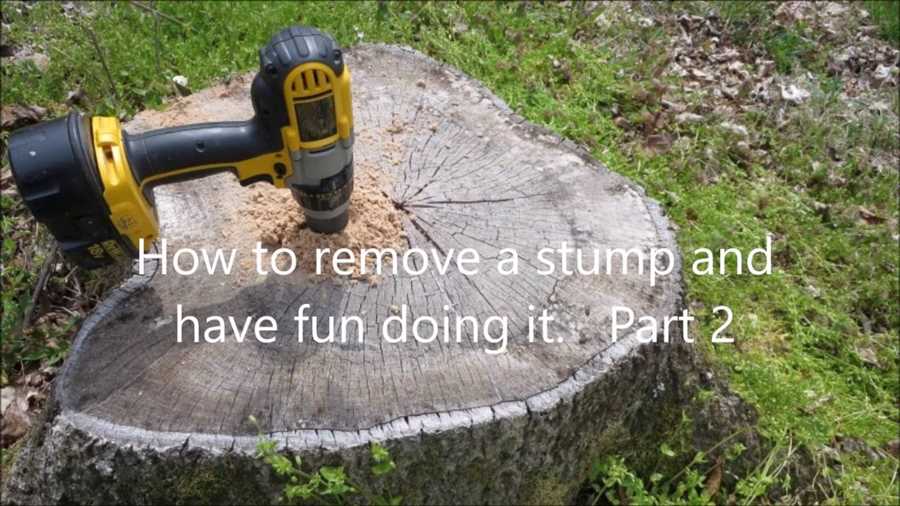 Best drill bit to drill into a tree stump 1. Choose the right drill bit