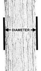 3. Potential tree damage