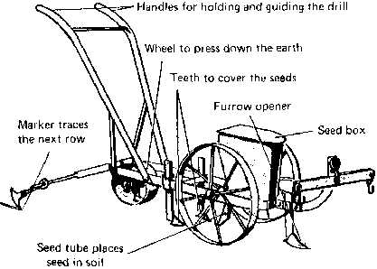 Impact on Agriculture