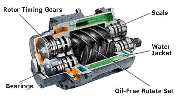 How does a rotary screw air compressor work? Service and Support
