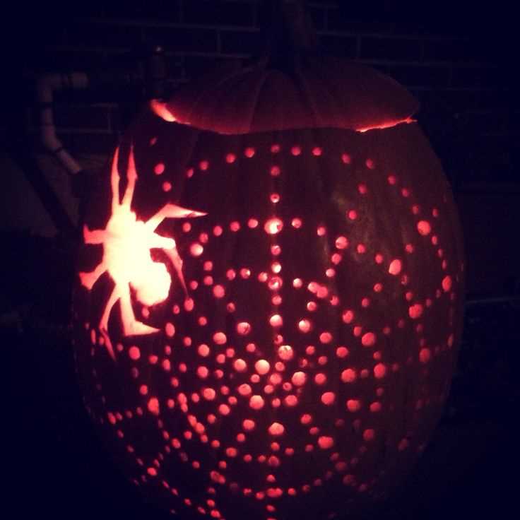 How to Create Amazing Pumpkin Designs with a Drill Preserving Your Pumpkins: Tips for Extending their Lifespan