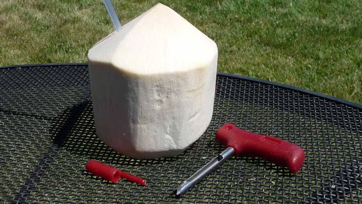 Step-by-Step Guide: How to Drill a Coconut Step 4: Removing the Drilled Coconut Water