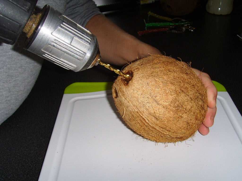 Step-by-Step Guide: How to Drill a Coconut Step 2: Marking the Drilling Spot