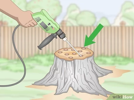Drilling a Hole in a Tree Stump: A Step-by-Step Guide Step 6: Clean up the area