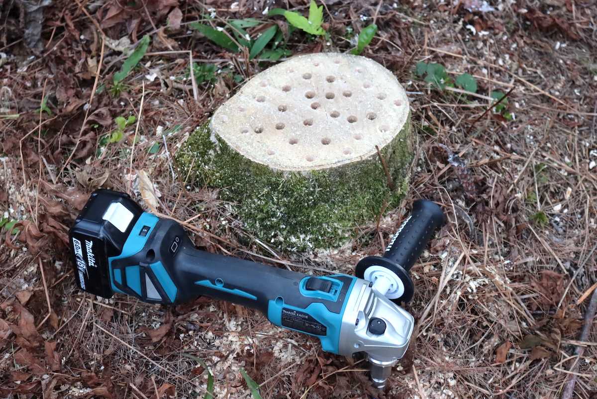 Drilling a Hole in a Tree Stump: A Step-by-Step Guide 3. Preventing new tree growth