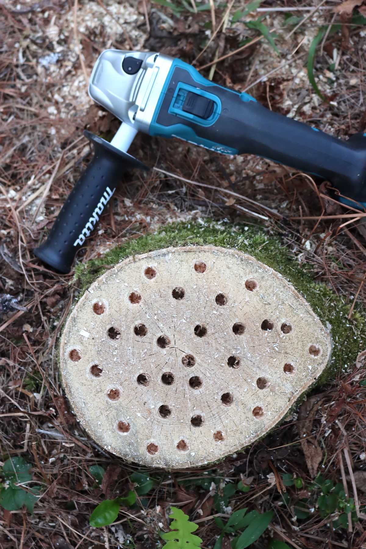 Drilling a Hole in a Tree Stump: A Step-by-Step Guide The Tools You'll Need