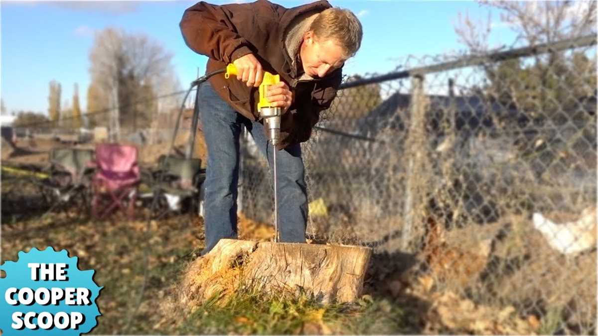 Drilling a Hole in a Tree Stump: A Step-by-Step Guide 5. Providing Habitat