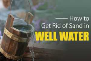 Tips for Drilling a Water Well in Sandy Soil 3. Maintain Vegetation