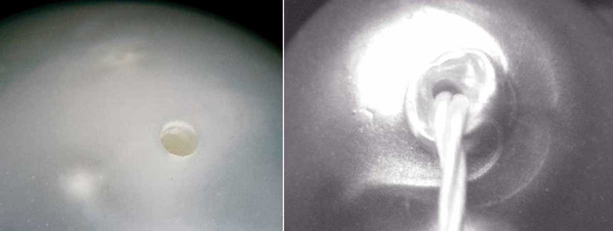 How to Safely Drill Holes in Pearls: Essential Tips and Techniques 6. Regular Cleaning