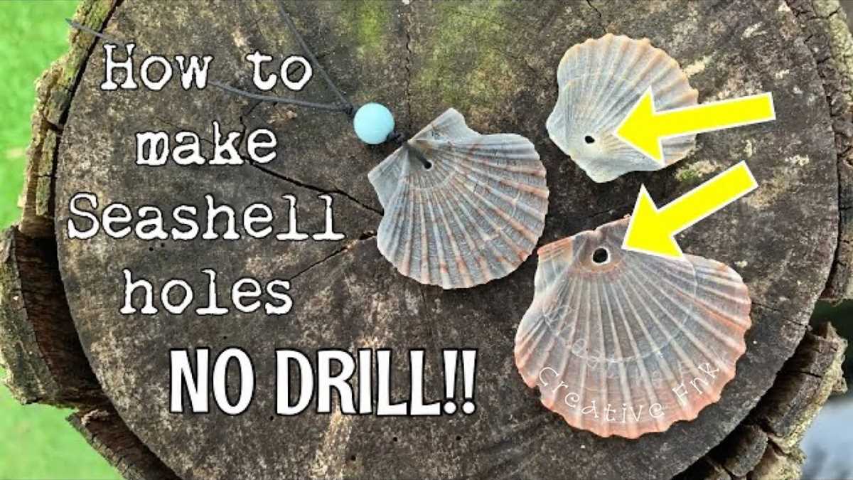 How to Drill Holes in Seashells: Step-by-Step Guide Steps: