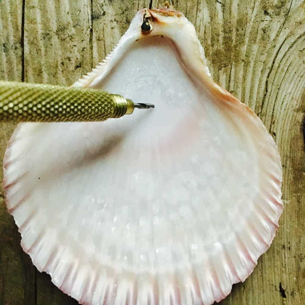 How to Drill Holes in Seashells: Step-by-Step Guide Step 7: Final touches