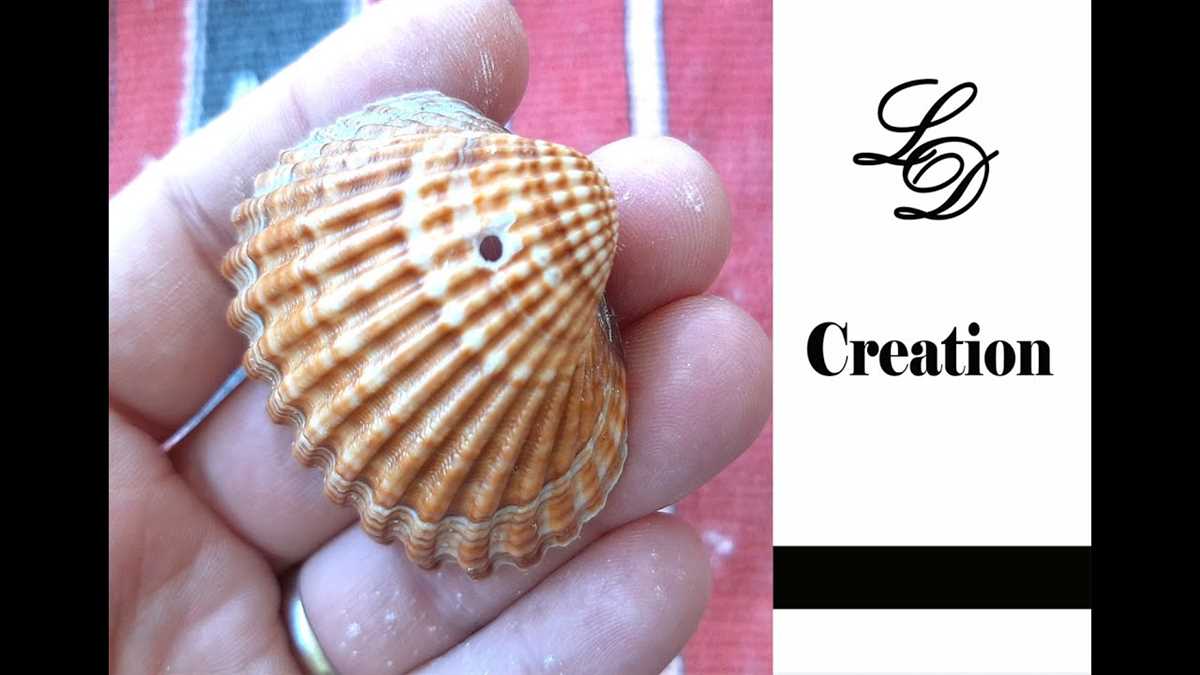 Drilling Holes in Shells: Creative Methods that Don't Require a Drill Vinegar method