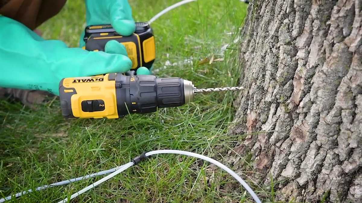 Protective Techniques for Drilling into Trees Without Harming Them 4. Cleaning and Sterilizing the Drill Bit