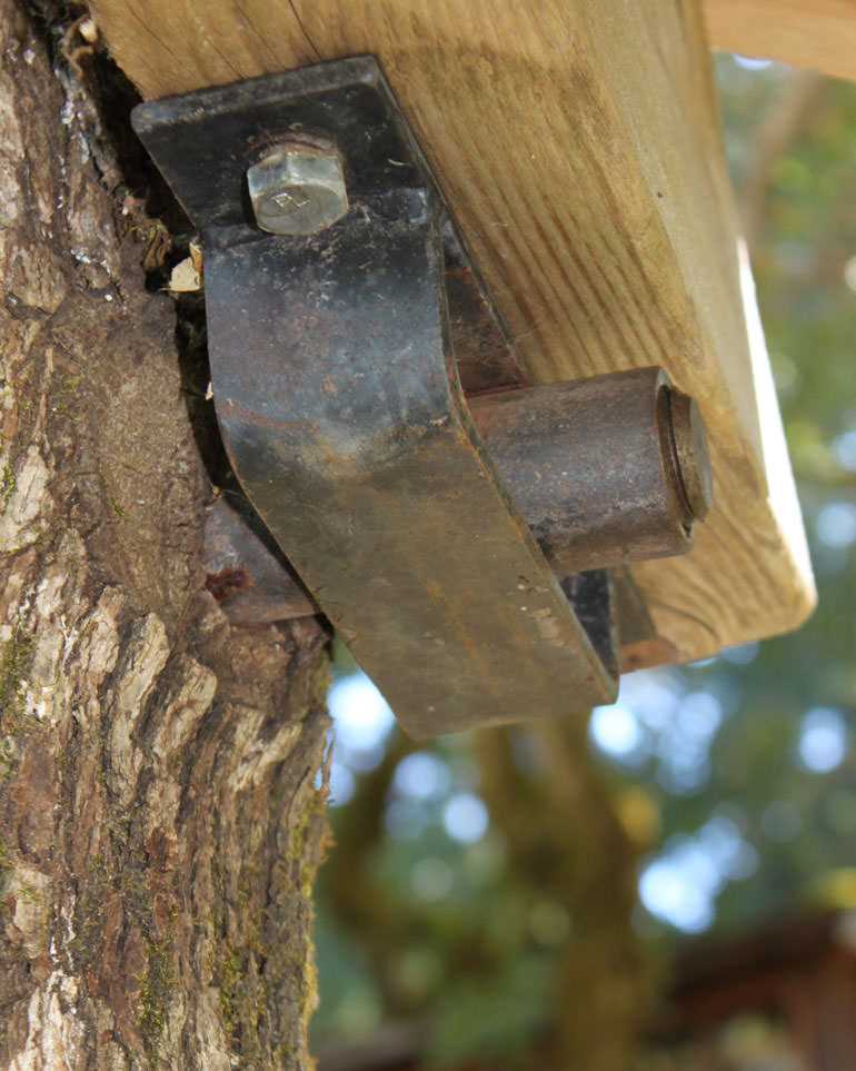 Protective Techniques for Drilling into Trees Without Harming Them Preventing Structural Damage