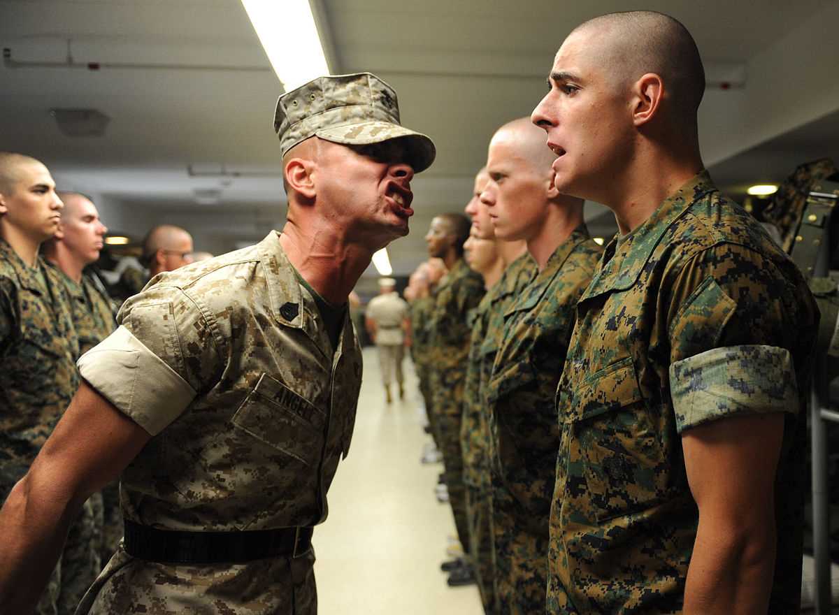 Find the Best Drill Instructors: Your Guide to Success Specialization