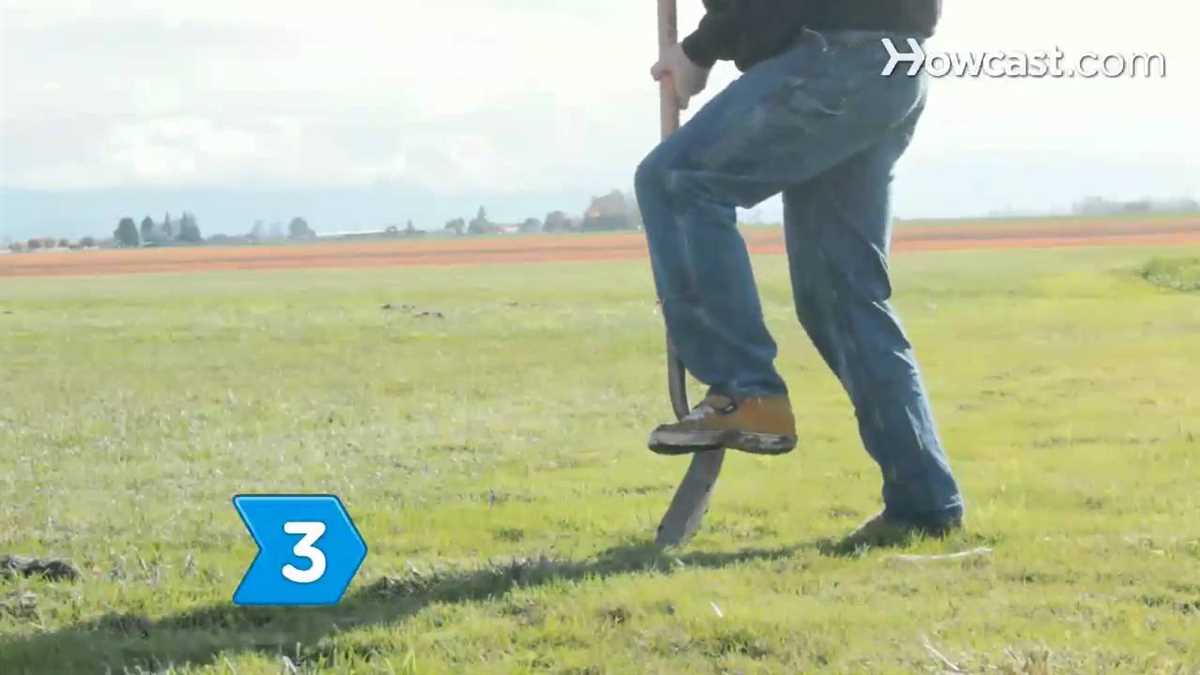 3. Encouraging transparency and accountability