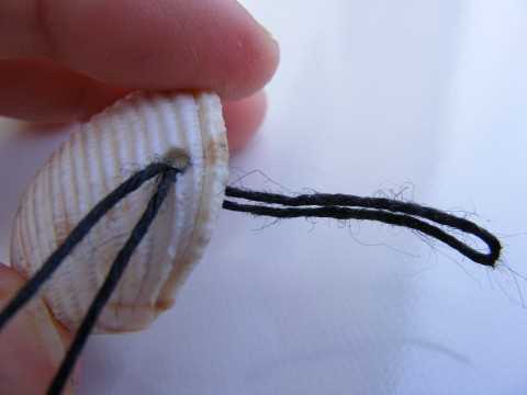 6. Optional: bleach your shells