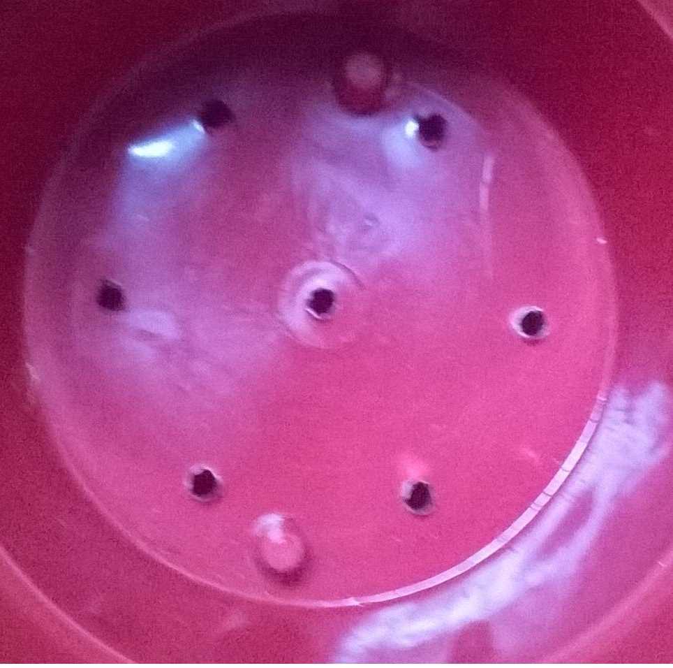 5 Creative Ways to Make Holes in Plastic Pots Without a Drill Step-by-step instructions