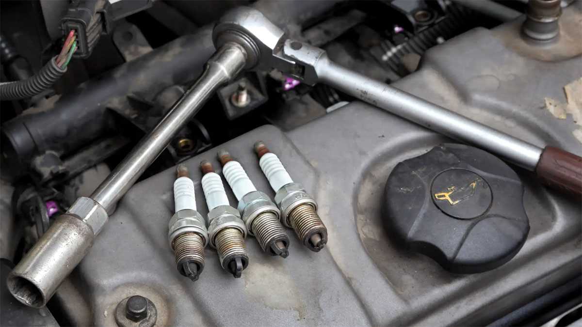 What Size Socket Wrench Should I Use for Spark Plugs? | A Complete Guide Step 4: Verify the Fit